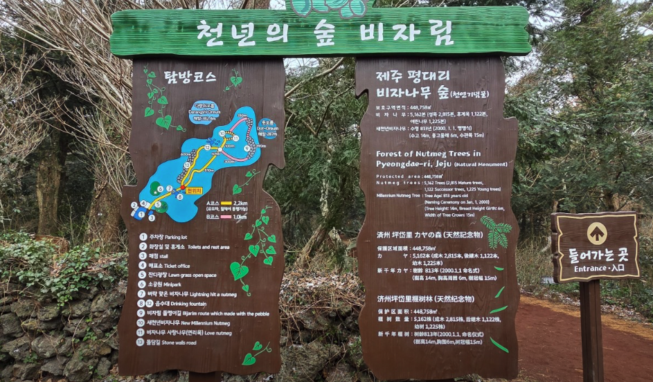 비자림 숲속